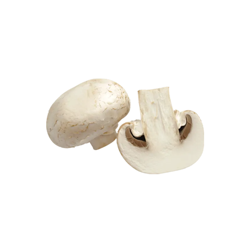 Champignons